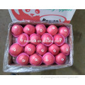 /msite/products/detail/productid/54855488/id/542998.html
